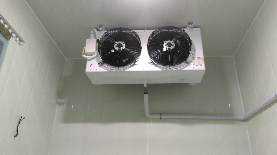 Địa chỉ thi công lắp đặt kho lạnh hải sản uy tín hàng đầu Nghệ An Địa chỉ thi công lắp đặt kho lạnh hải sản uy tín hàng đầu Nghệ An