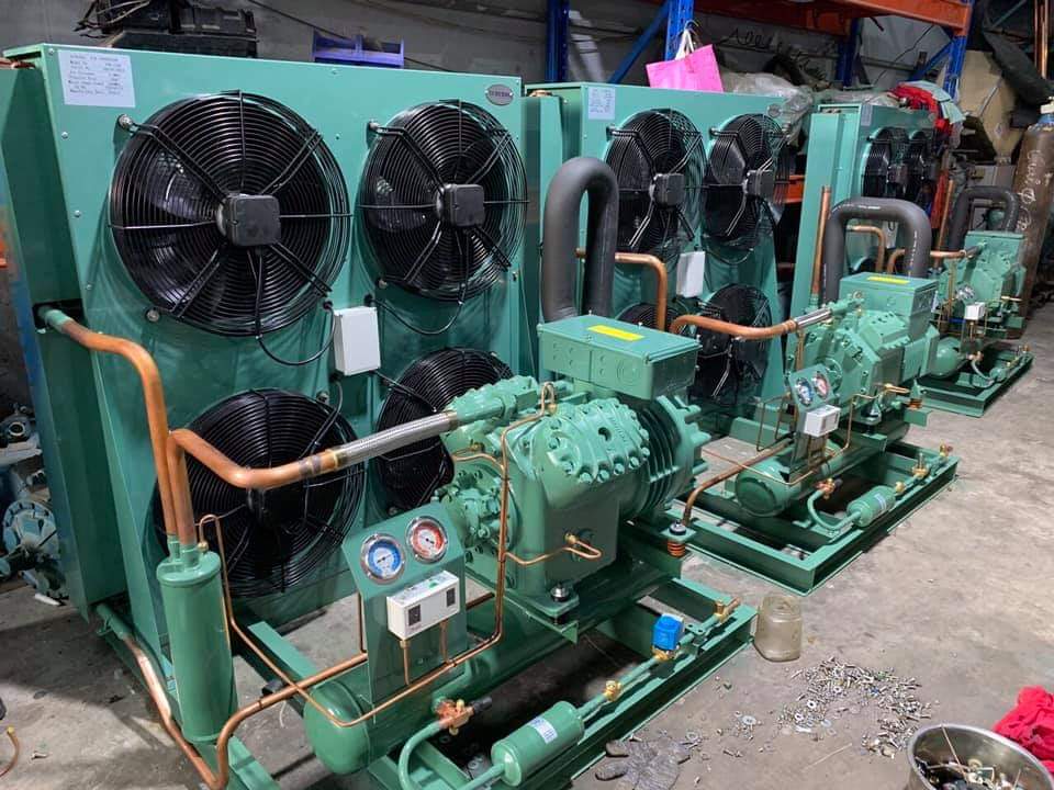 Thi công kho lạnh chuyên nghiệp tại Hà Nội