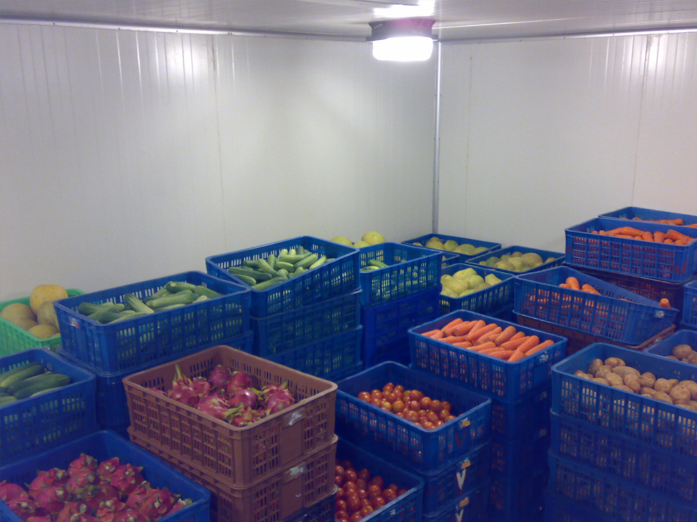 Dịch vụ lắp đặt kho lạnh rau củ quả nông sản uy tín số 1 Hưng Yên