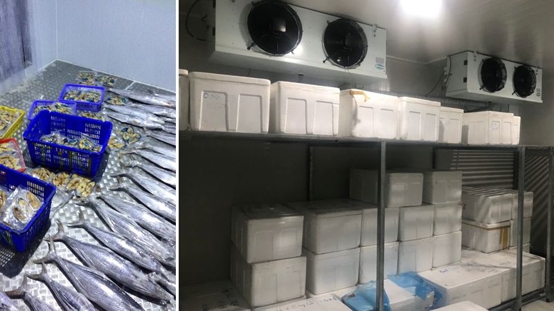 Địa chỉ thi công kho lạnh hải sản chuyên nghiệp hàng đầu Hưng Yên