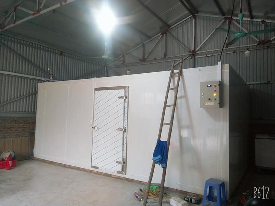 Địa chỉ thi công kho lạnh cấp đông thịt bò an toàn hàng đầu Hưng Yên