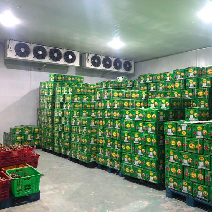 Tìm đơn vị thi công kho lạnh bảo quản thuỷ hải sản Hà Nội