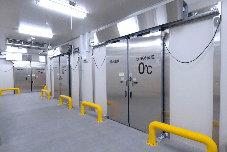 Lắp đặt kho lạnh bảo quản rau tại Hà Nội