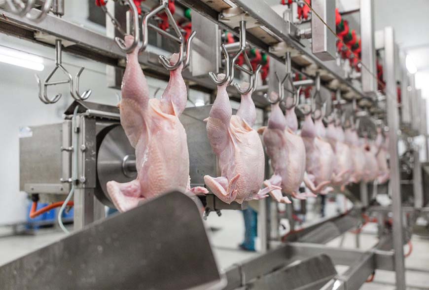 thi công kho lạnh công nghiệp tại Hà Nội - giá tốt, chuyên nghiệp