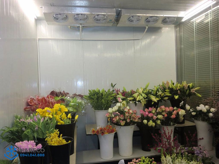 Lắp đặt kho lạnh bảo quản Hoa Tươi tại Ninh Bình Lắp đặt kho lạnh bảo quản Hoa Tươi tại Ninh Bình