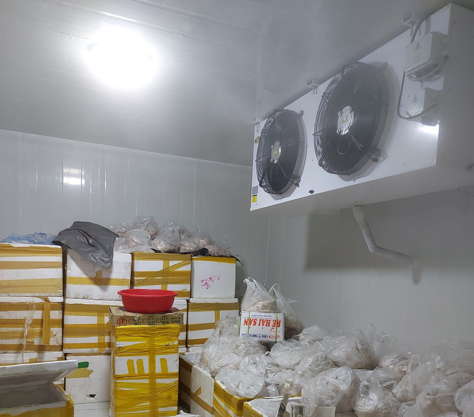 Tìm đơn vị thi công kho lạnh bảo quản thuỷ hải sản Hà Nội